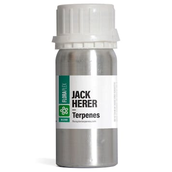 Photo of Jack Herer Terpenes